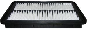 Hastings Air Filter