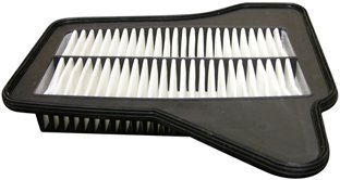 Hastings Air Filter