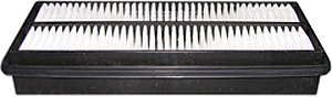 Hastings Air Filter