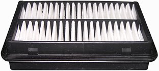 Hastings Air Filter