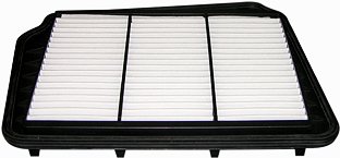 Hastings Air Filter