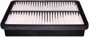 Hastings Air Filter