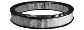Hastings Air Filter