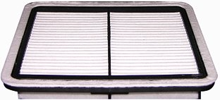 Hastings Air Filter