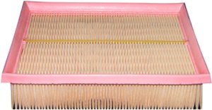 Hastings Air Filter
