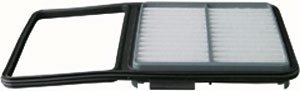 Hastings Air Filter