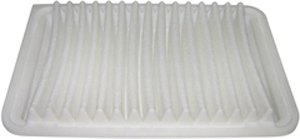 Hastings Air Filter