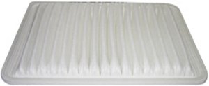 Hastings Air Filter