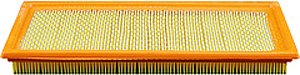Hastings Air Filter