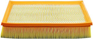 Hastings Air Filter