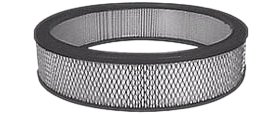 Hastings Air Filter