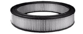 Hastings Air Filter
