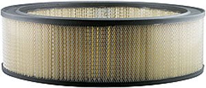 Hastings Air Filter