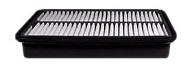 Hastings Air Filter