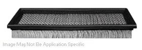Hastings Air Filter