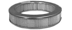 Hastings Air Filter