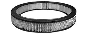 Hastings Air Filter