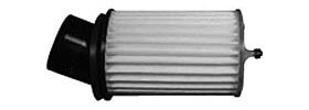 Hastings Air Filter