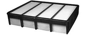 Hastings Air Filter
