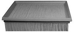 Hastings Air Filter