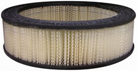 Hastings Air Filter