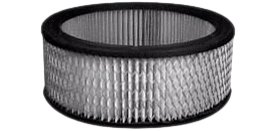 Hastings Air Filter