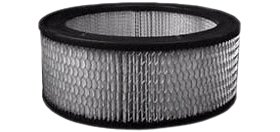 Hastings Air Filter