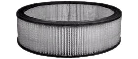 Hastings Air Filter