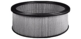 Hastings Air Filter