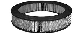 Hastings Air Filter