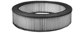 Hastings Air Filter