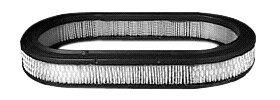 Hastings Air Filter