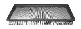 Hastings Air Filter