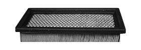Hastings Air Filter
