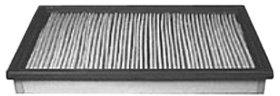 Hastings Air Filter