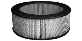 Hastings Air Filter