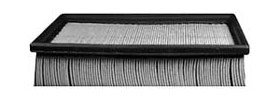 Hastings Air Filter