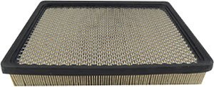 Hastings Air Filter