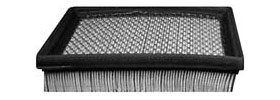 Hastings Air Filter