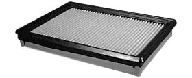 Hastings Air Filter
