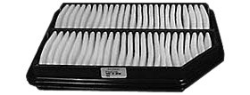 Hastings Air Filter