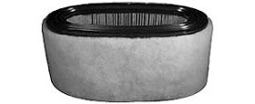Hastings Air Filter