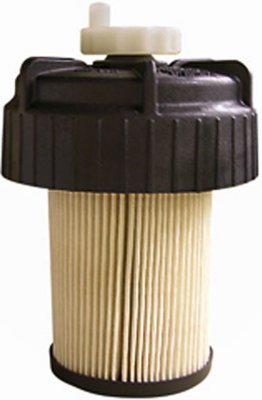 Hastings Fuel Filter