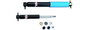 Hotchkis Shock Absorber and Strut Assembly