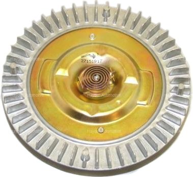 Hayden Fan Clutch