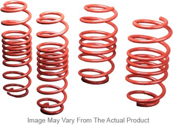 Intrax Lowering Springs
