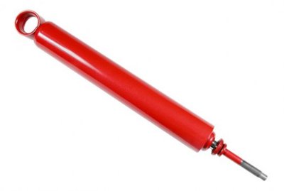 Lakewood Shock Absorber and Strut Assembly