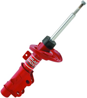 Lakewood Shock Absorber and Strut Assembly
