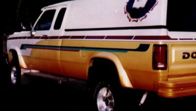 Bushwacker Fender Flares