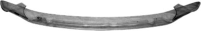 Lund Bug Shield